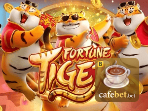Guia install APK CAFE BET BR